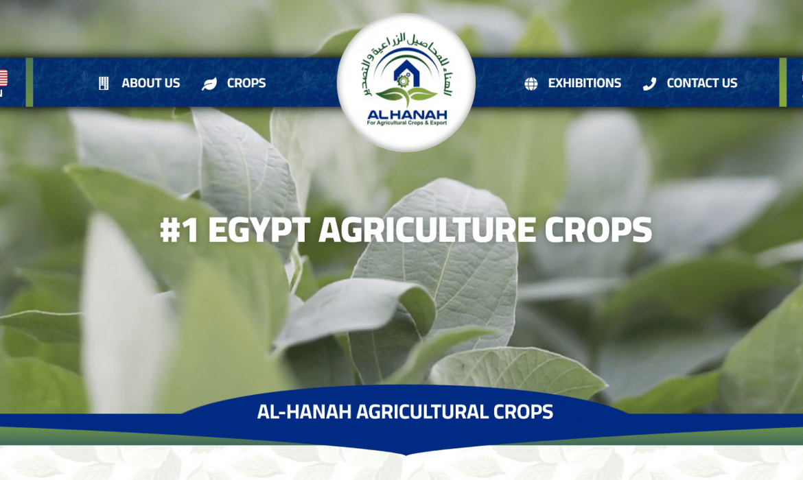 تصميم موقع حاصلات زراعية Agriculture Crops 🌿 تصميم موقع زراعي 🍋 تصميم مواقع فى مصر 🇾🇪