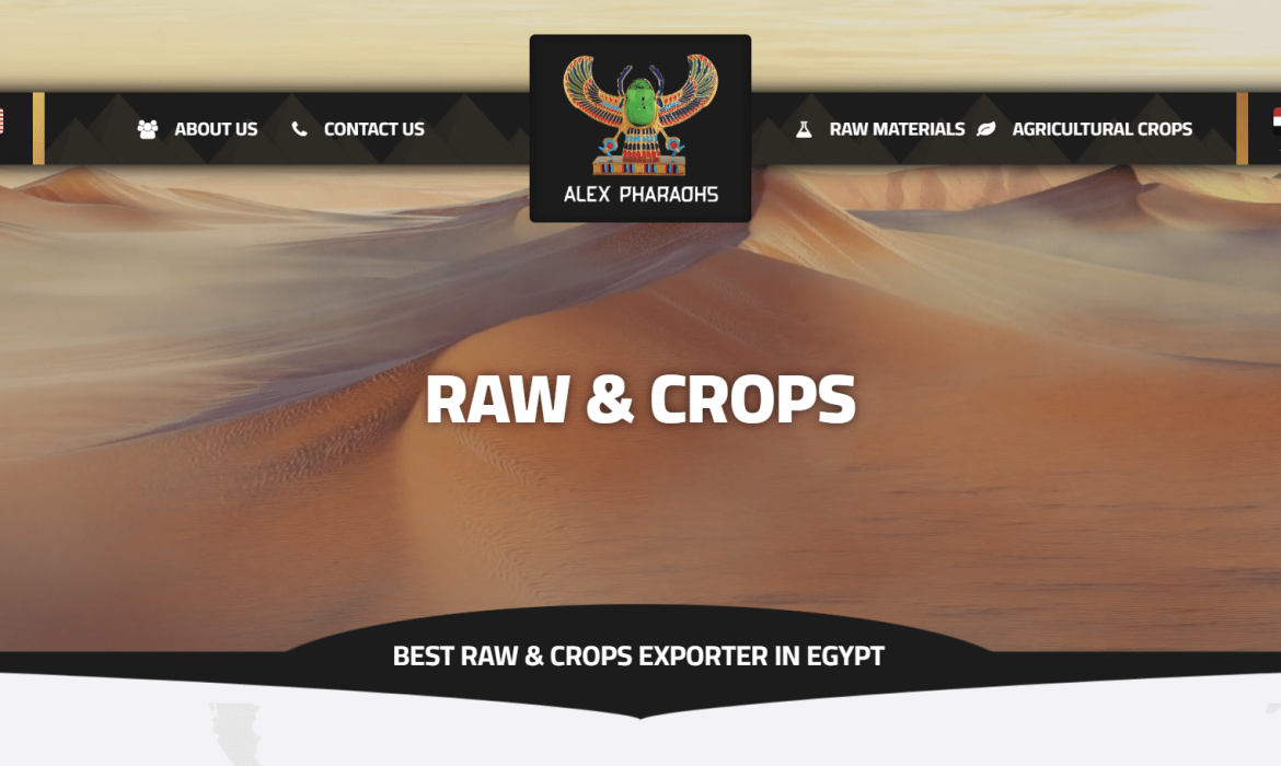 تصميم موقع تصدير مواد خام Raw Materials 🧱 تصميم موقع محاصيل زراعية Crops 🥦 تصميم موقع خضروات وفاكهة