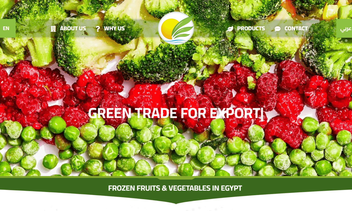 تصميم موقع خضار وفاكهة مجمدة Frozen Fruits & Vegetables Web Design 🌽تصميم موقع تصدير 🧄