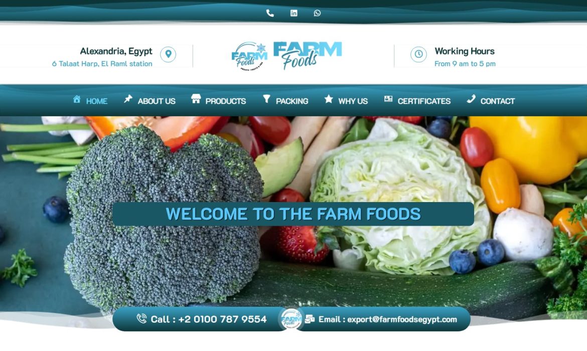تصميم موقع خضار وفاكهة مجمدة Fruits & Vegetables 🍓 تصميم موقع فروزين فود Frozen Food Web Design